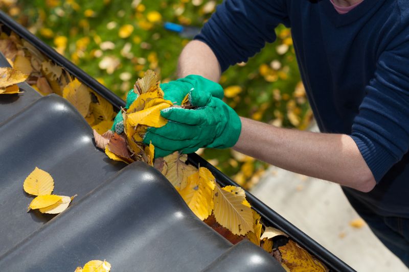Gutter Leaf Clearing in Boulder, CO